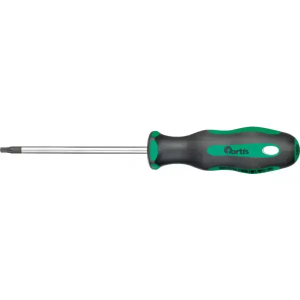 Časově Omezené Šroubovák T20x100mm FORTIS