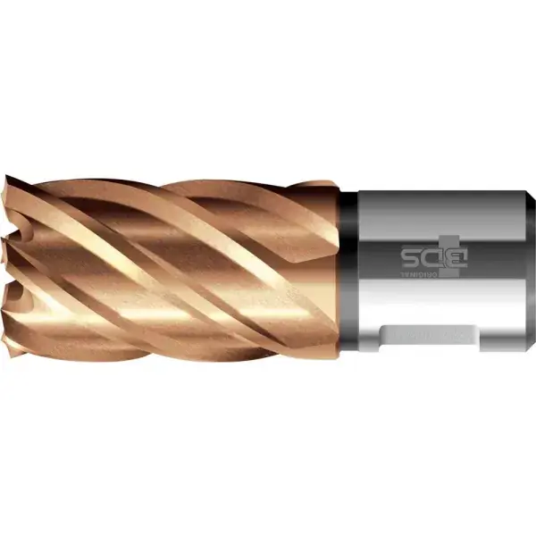 Časově Omezené Jádrový vrták 38/30mm VARIOPlus krátký KBK HSS stopka Weldon BDS