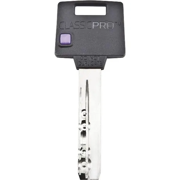 Nejprodávanější MUL-T-LOCK Klíč pro visací zámky, profil Classic Pro 2945