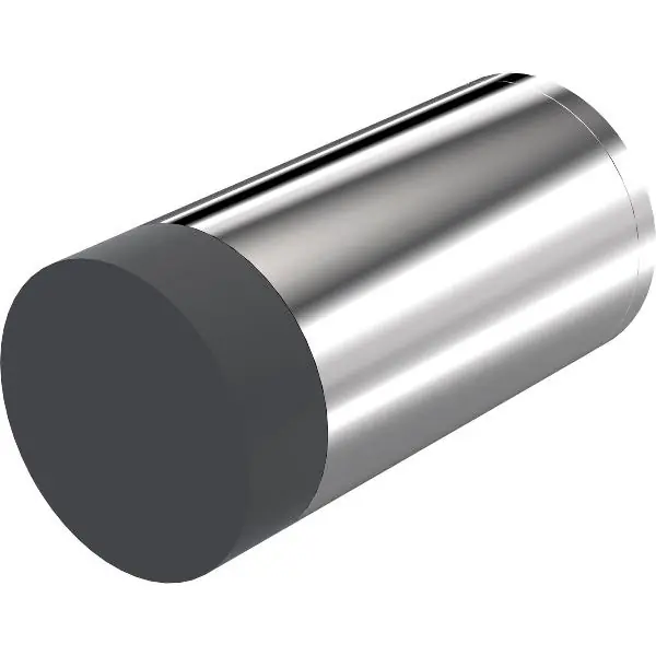 Pouze Dnes KWS stěnový dveřní doraz 2070 ø 30 mm, délka 60 mm, nerez ocel leštěná